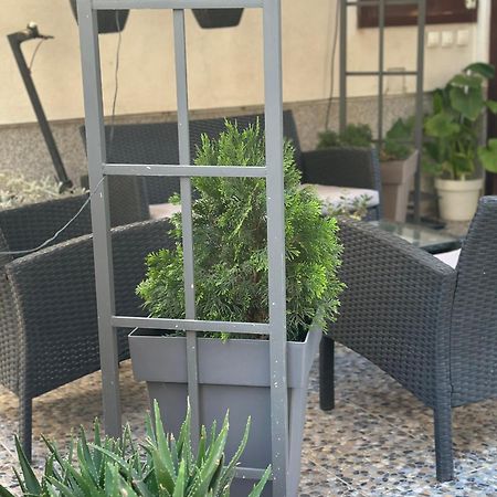 Apartamento Lilyy Leskovac  Exterior foto