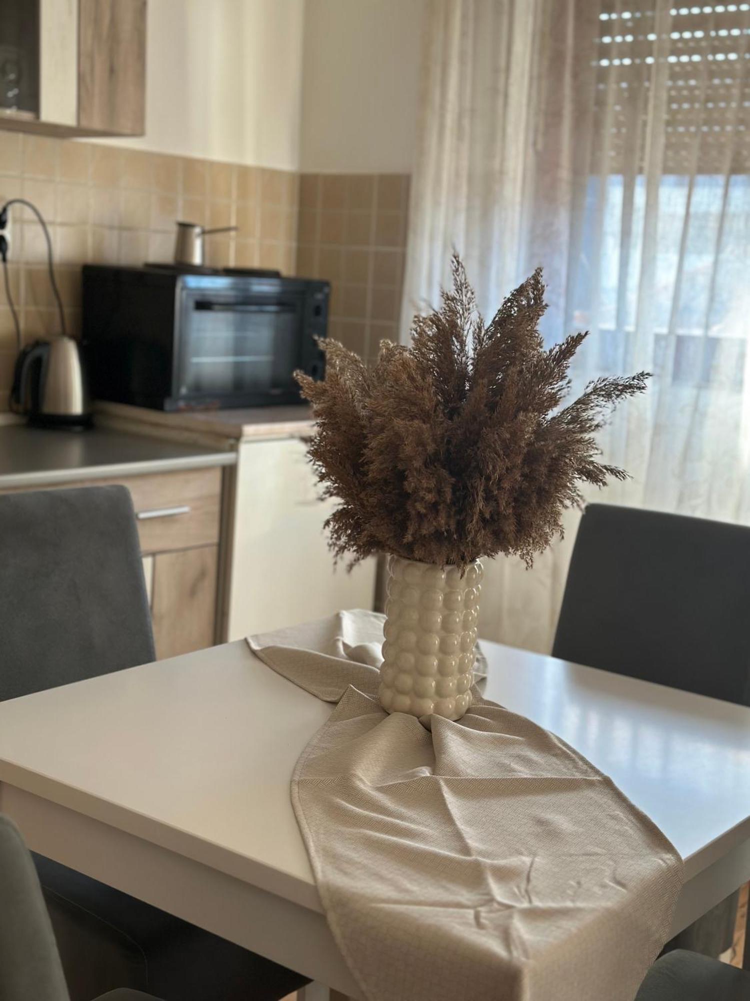 Apartamento Lilyy Leskovac  Exterior foto
